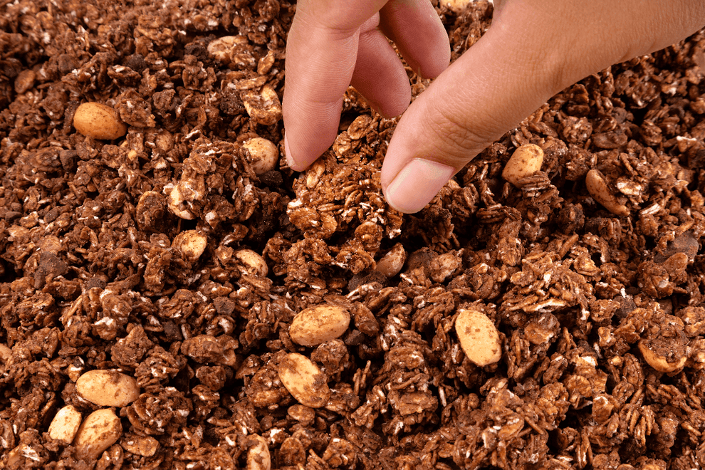 Granola Chocolate Belga e Aveia 250g