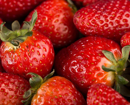 Whey Protein Red Berries Concentrado e Isolado 900g